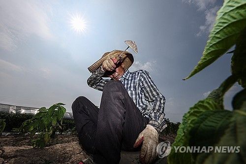 폭염 속 온열질환 조심