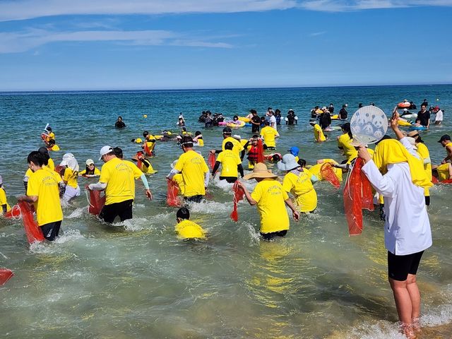 주문진 조개잡이 축제