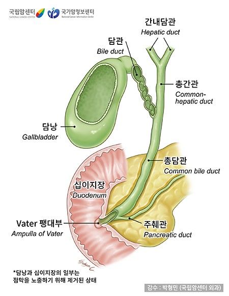 [국립암센터 제공]