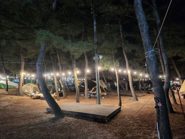 캠핑비어 페스티벌