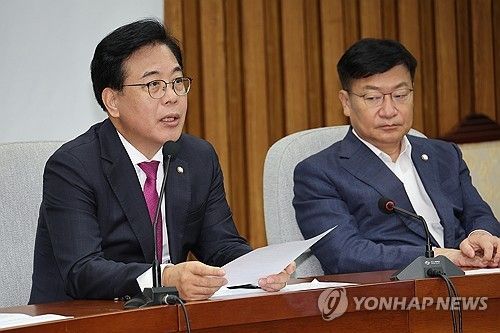 송언석 비상대책위원장 발언 