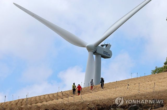 고랭지 배추밭에 물주기…강릉 안반데기