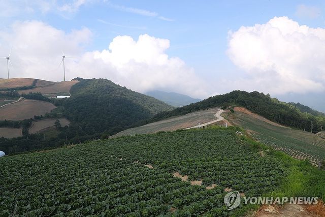 비가 내려야 하는데