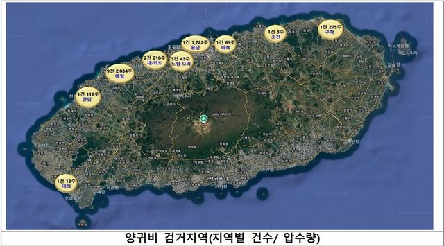 나도 양귀비 발견 지역