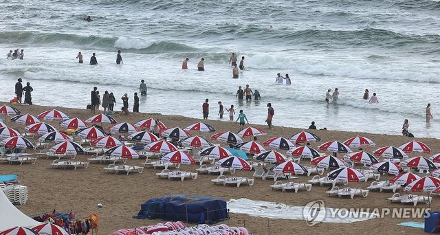 물놀이 즐기는 피서객들