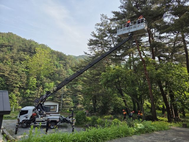 자연재해 대비 주택 위험목 제거