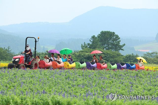 깡통기차 타고 농장 한 바퀴
