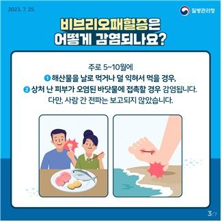 비브리오패혈증 주의