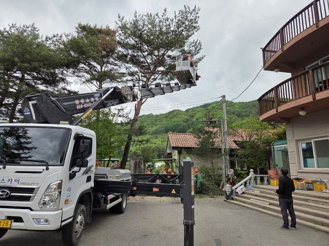 자연재해 대비 주택 위험목 제거