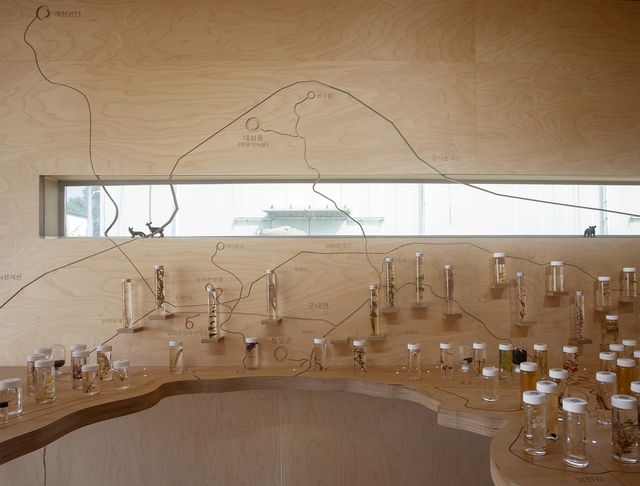 박준식의 '비옥한 땅에 핀 꽃'