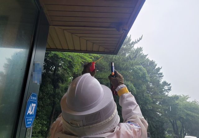 벌집 제거하는 소방 대원