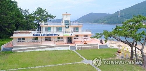 통영 용호도 고양이학교