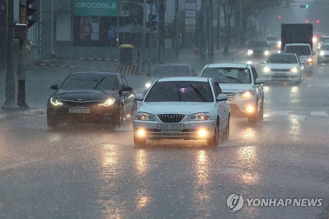 비 내리는 제주