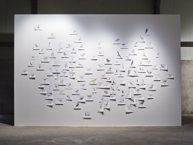 아드리안 괼너의 '흔적'