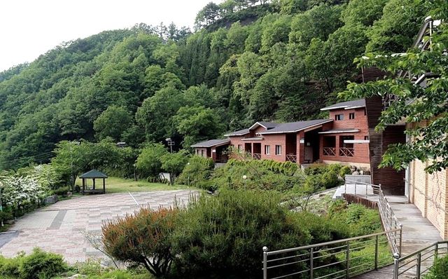 민주지산 자연휴양림