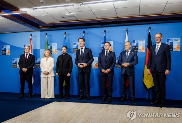 6월 나토 정상회의에서 우크라이나 및 유럽 정상들