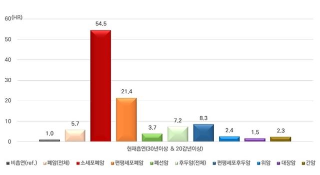 흡연력에 따른 암 발생위험도