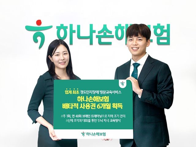 [하나손보 제공]