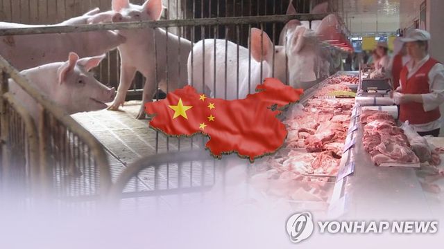 ASF 헛소문에 드론살포까지…中서 천인공노할 돈벌이 (CG)