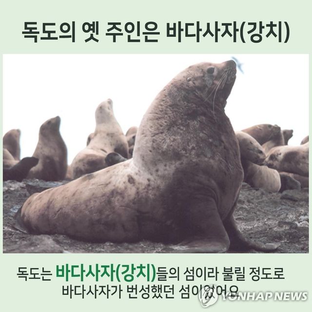 독도 바다사자 '강치'