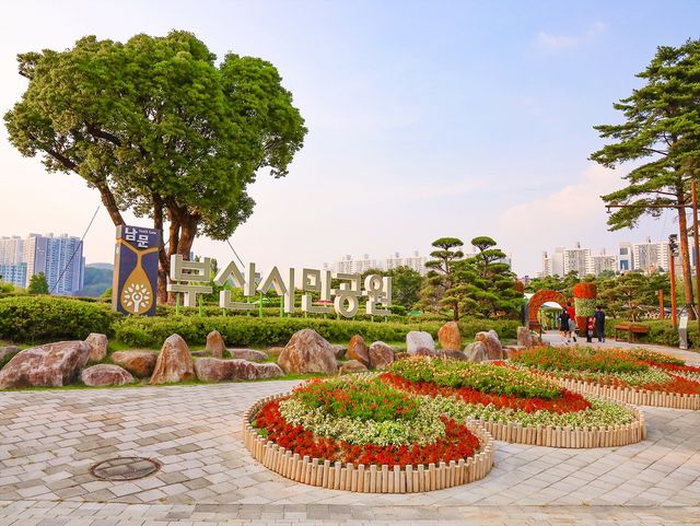 부산시민공원 남3문. 뒤에 보이는 나무가 부산에서 가장 큰 녹나무다. [사진/권혁창 기자] 