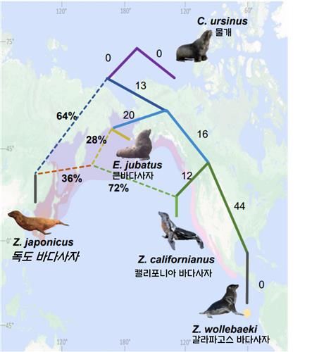 강치와 물개류의 서식지와 진화도