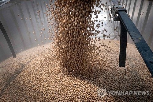 미국산 대두