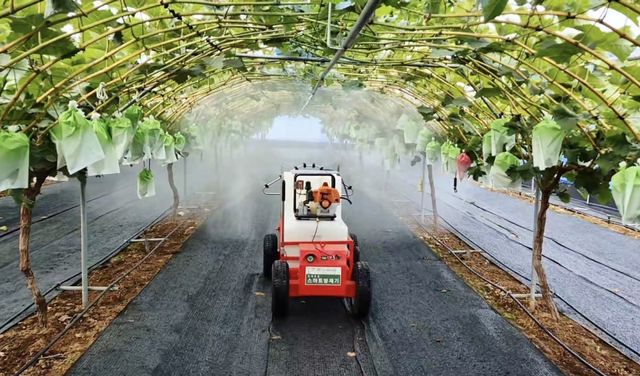 포도 과수원용 스마트 방제기