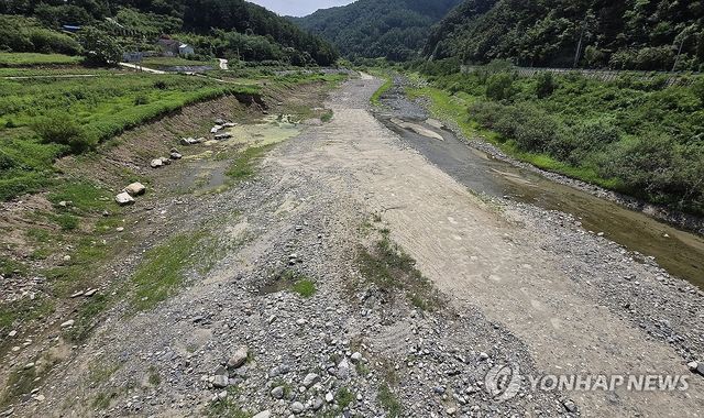 강릉시 가뭄단계 '경계' 격상…잡초 무성한 식수원