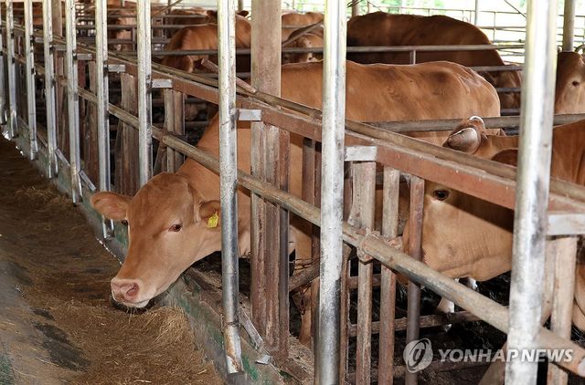 한미 관세타결…"소고기 확대 없어"