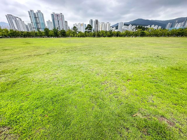 부산시민공원 하야리아 잔디광장. 축구장 6배 크기다. [사진/권혁창 기자] 