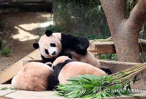 엄마와 보내는 마지막 시간