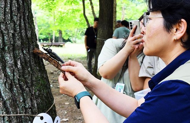 멸종위기 장수하늘소 방사