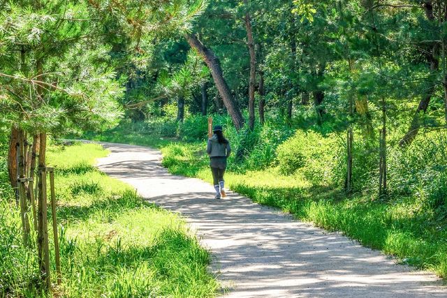 오전 조깅을 하는 시민 [사진/백승렬 기자]