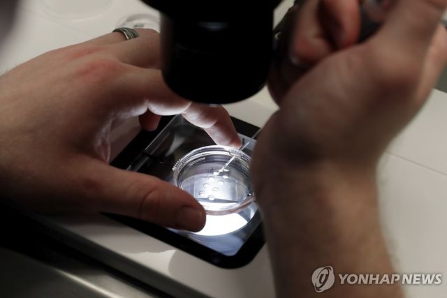 [AP=연합뉴스 자료사진]