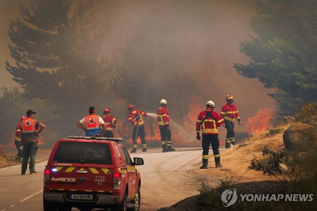 산불을 진화하는 포르투갈 소방대원
