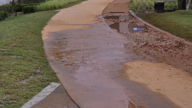 배수구 막힌 잔디광장 보행로