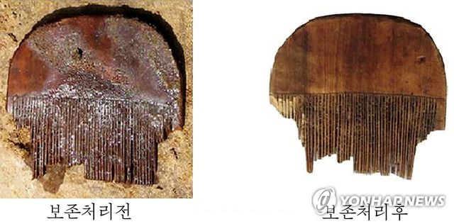 북한, 목재유산보존기술 개발