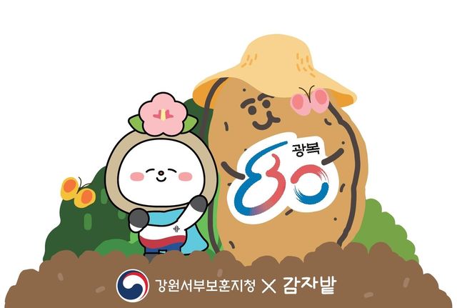 강원서부보훈지청·감자밭, 광복 80주년 기념 특별 캠페인