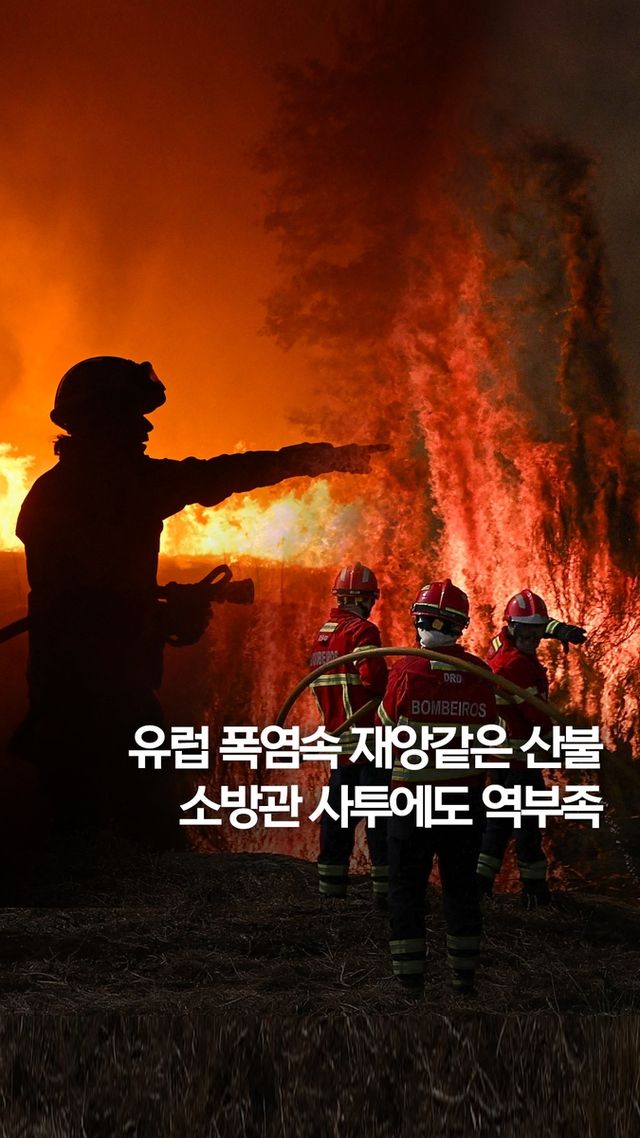 [쇼츠] 소방관 사투에도…폭염 속 재앙같은 유럽 산불 - 2