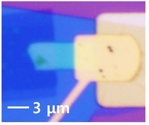 무전력 광센서 소자의 광학 현미경 이미지
