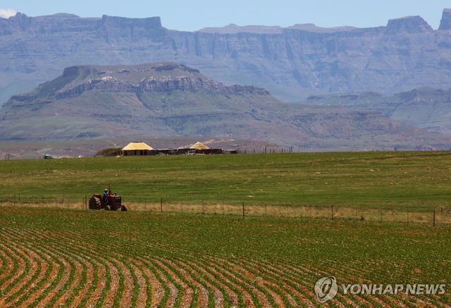 드라켄스버그산맥