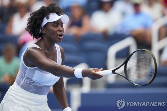 비너스 윌리엄스