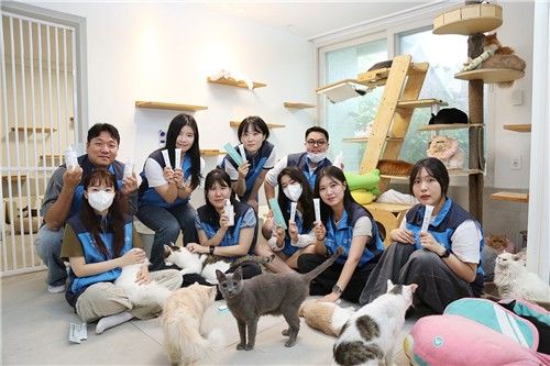 애경산업 휘슬, 유기고양이 보호소 봉사활동