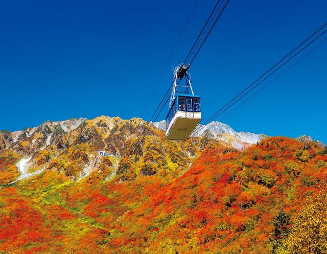 롯데관광개발, 추석연휴 일본 도야마 직항 전세기 상품 선보여