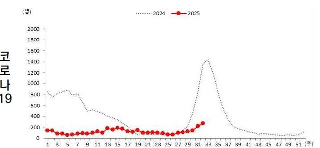 코로나19 입원환자 추이