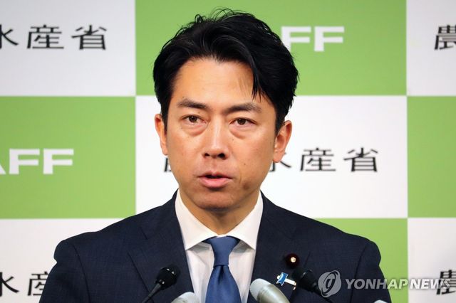 고이즈미 농림수산상