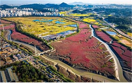 소래습지생태공원
