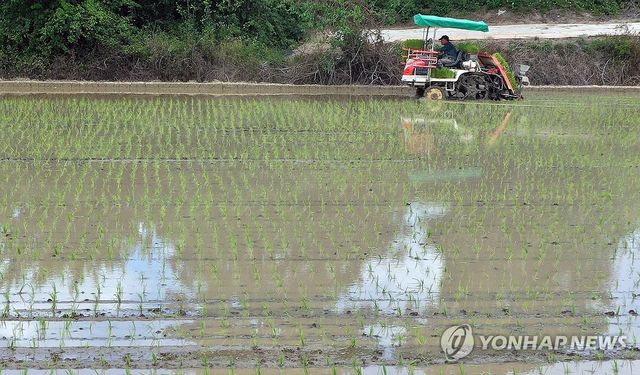 모내기 계절