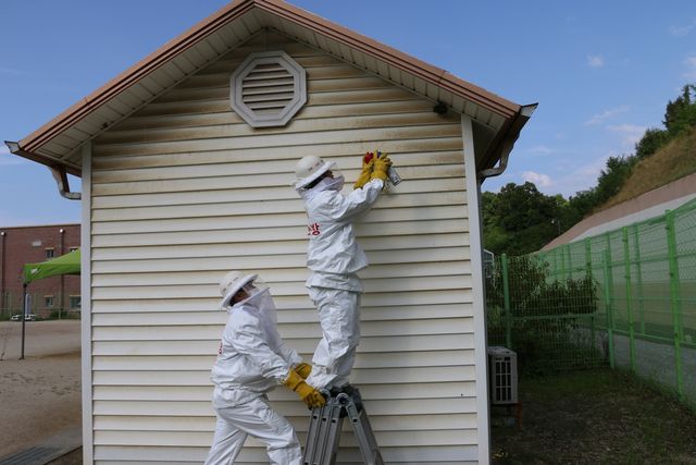 벌집 제거 중인 강원소방